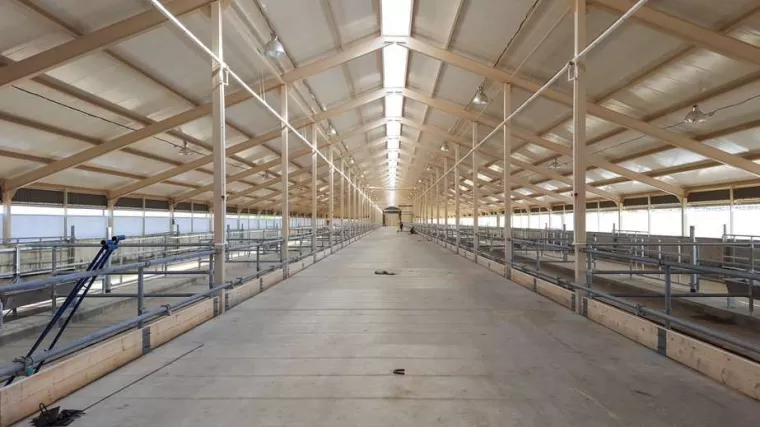 Modélisation et création de charpente métallique pour bâtiment à Paris 6ème, Paris, Thêta Ingénierie